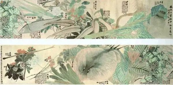 赵之谦|清代赵之谦《异鱼图》的“奇趣”与海洋生物