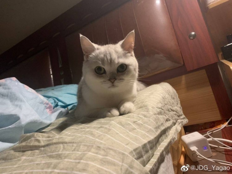 JDG_Yagao赛后发博：最重要的是找到问题 现在输总比后面输好 