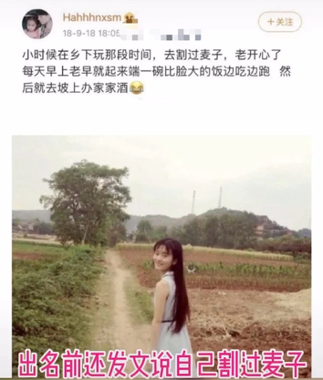 万茜|装清高、装文化人、装单身……想问问她们装得累不累？