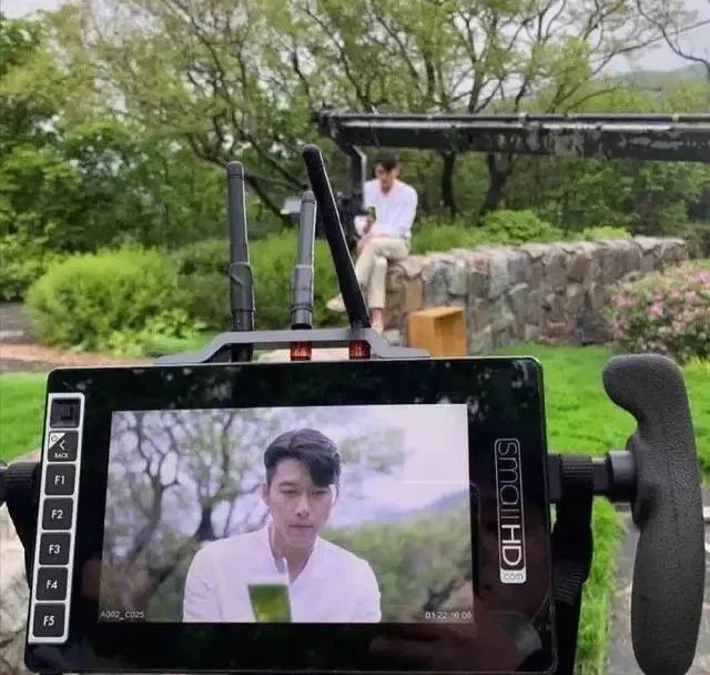 宋慧乔|法制咖的尾巴都现了，宋慧乔可别装了！