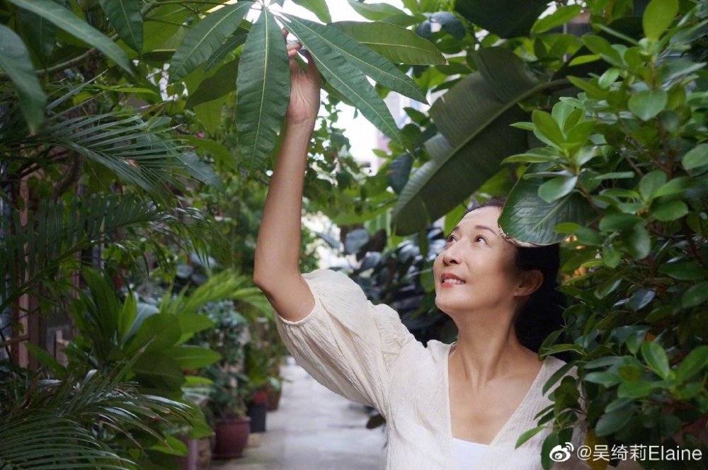 吴卓林|吴绮莉分享教育吴卓林的经验：要她自己去碰钉子，我帮不上忙