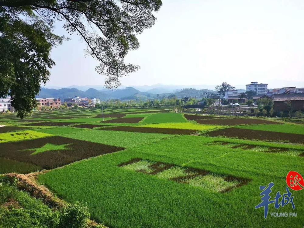 韶关南雄灵潭村，体验沉浸式的文化