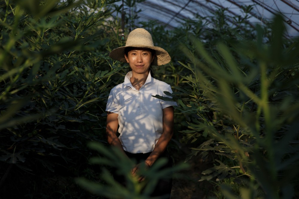 垃圾分类|探索垃圾分类的陪读妈妈们：清理172车垃圾，主攻厨余“消化”