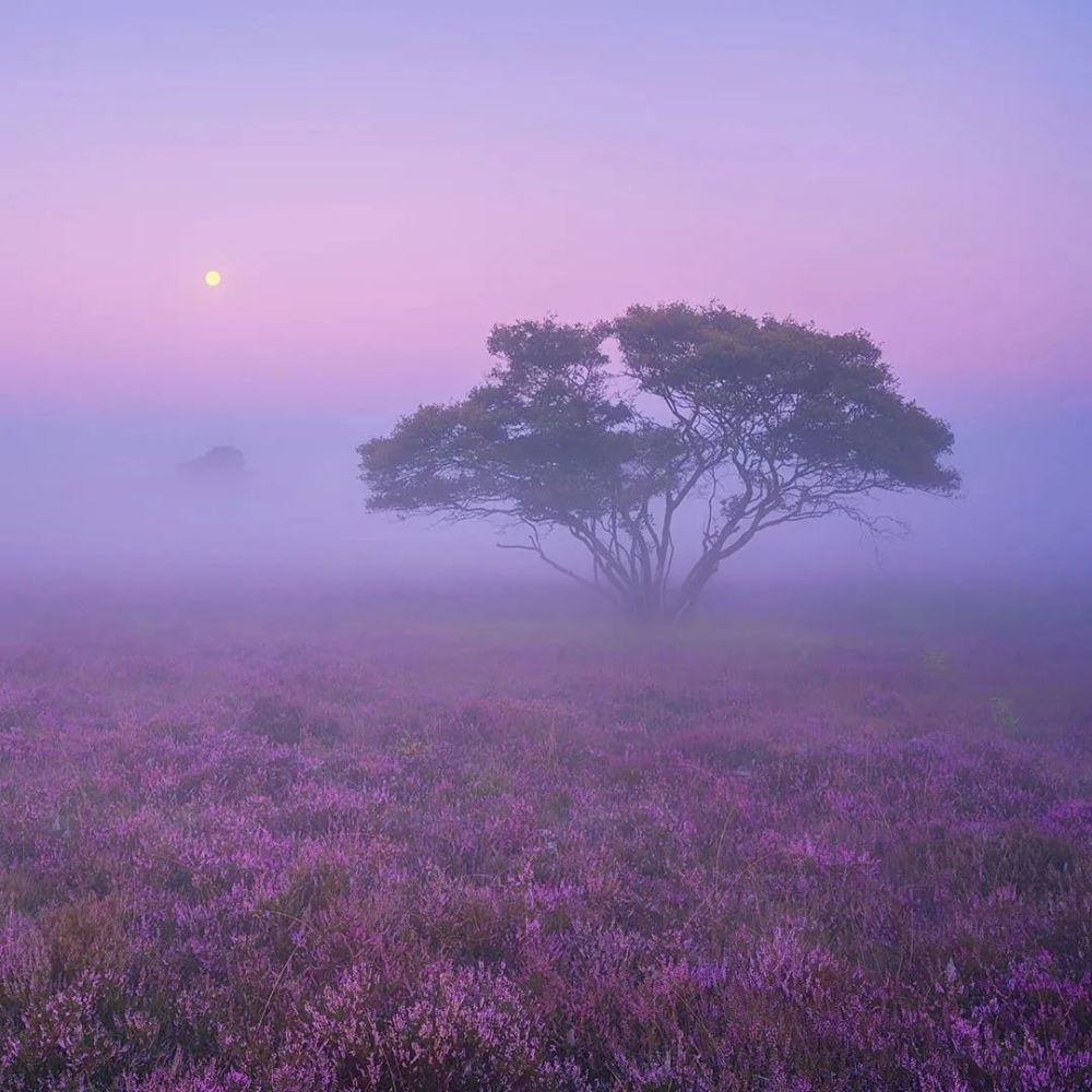 梦境·仙境,美景欣赏