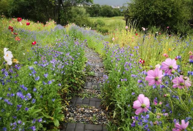 一把花籽一片花田 把春天永远留住的梦境 腾讯新闻