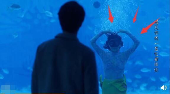 三十而已|三十而已：钟晓芹变美人鱼表白陈屿好甜，许幻山骂顾佳不懂蓝色烟花艺术品