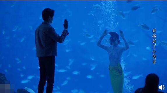 三十而已|三十而已：钟晓芹变美人鱼表白陈屿好甜，许幻山骂顾佳不懂蓝色烟花艺术品