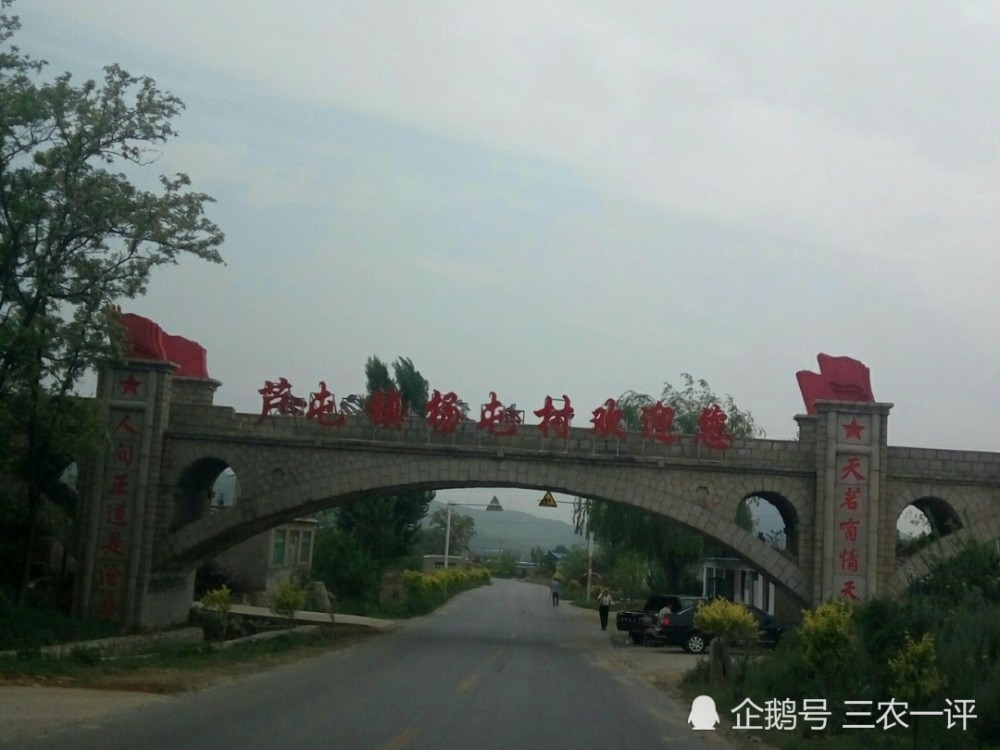 农民|东北雨水贵如油，为了感激久旱逢甘霖，农民冒雨在地里劳作