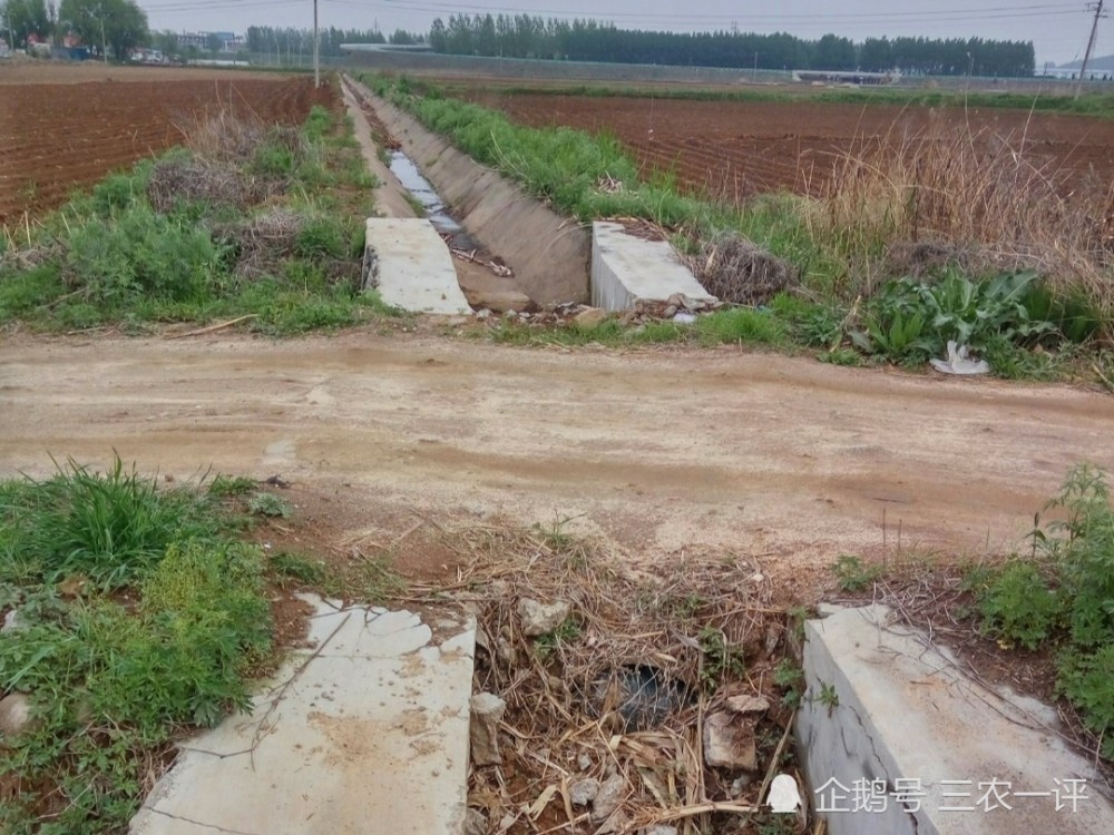农民|东北雨水贵如油，为了感激久旱逢甘霖，农民冒雨在地里劳作