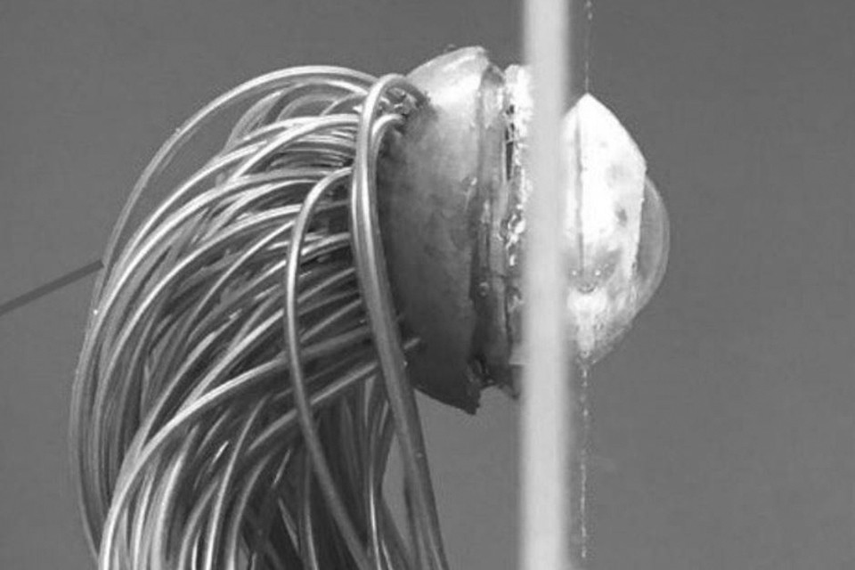 人造眼|人造眼或使人重见光明