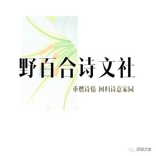 葵先生|葵先生诗词十二首