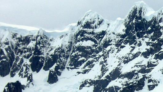 道格拉斯·莫森|探险家莫森和同伴为何在南极，吃了雪橇犬的狗肝，就中毒身亡了