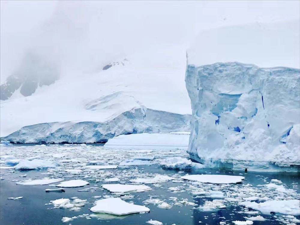 道格拉斯·莫森|探险家莫森和同伴为何在南极，吃了雪橇犬的狗肝，就中毒身亡了