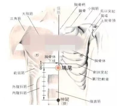 穴位的这些小知识，你了解多少？