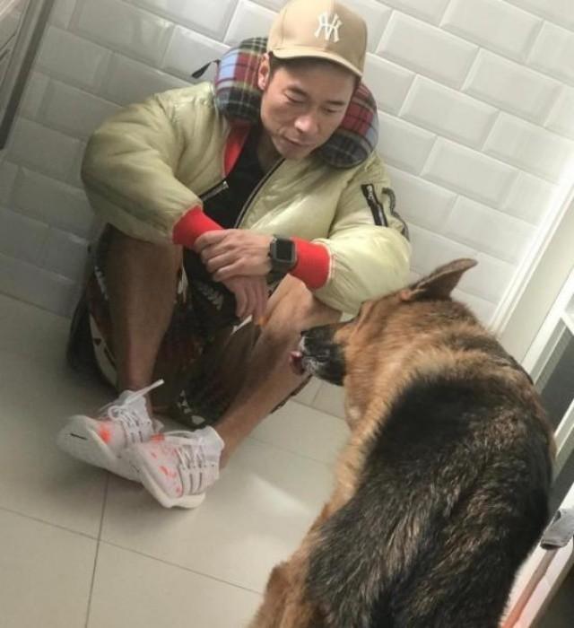 许志安|15岁爱犬生命倒计时！郑秀文夫妇请仨佣人照顾，一针止痛针2000多
