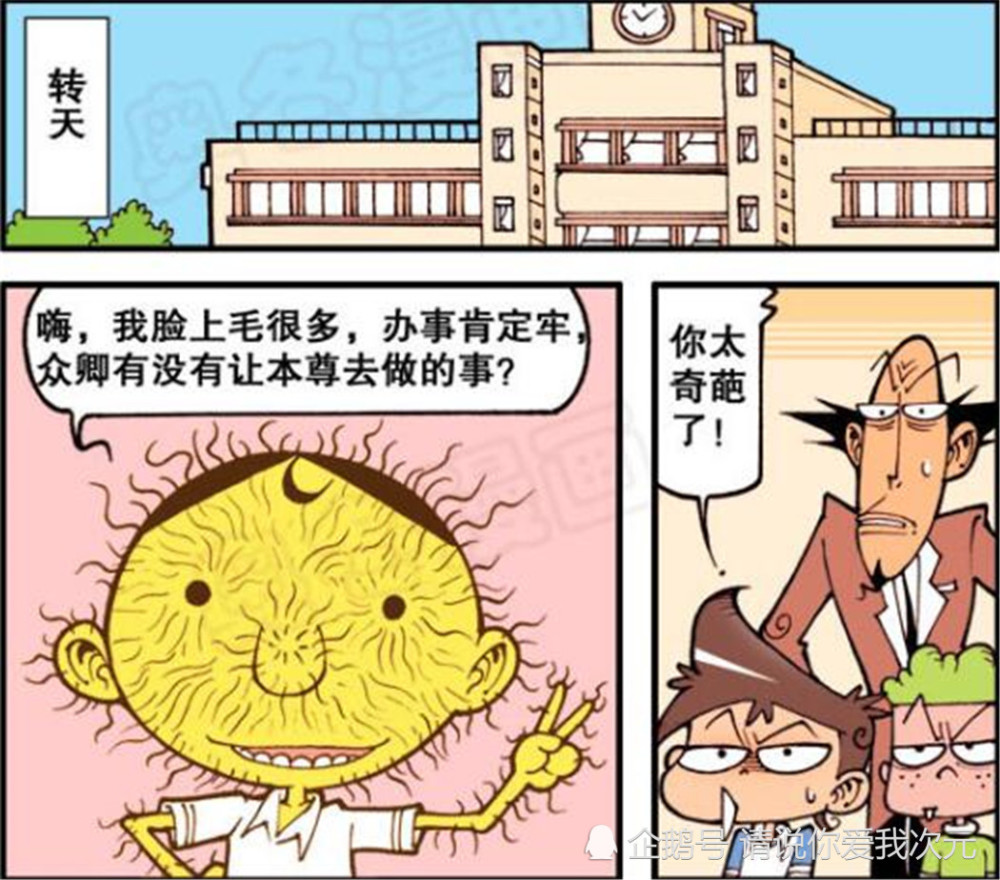 爆笑解忧地垄沟发型让奋豆着迷