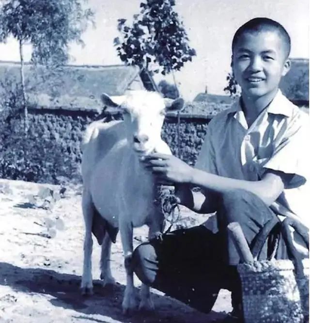 桑木耳|顾城杀妻13年后，儿子桑木耳不识中文，不知父母死亡真相