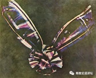 科学家|科学家应该是什么样的一群人？科学家是有国界的