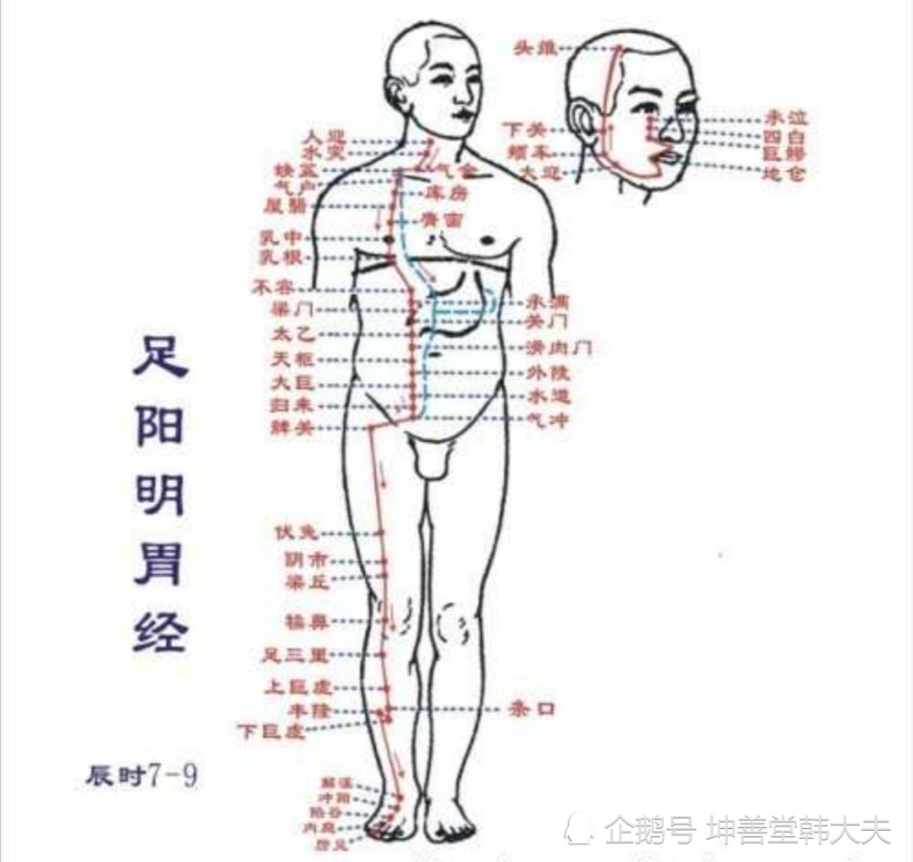 如果只把它当作是“酒囊饭袋”，那你就错了