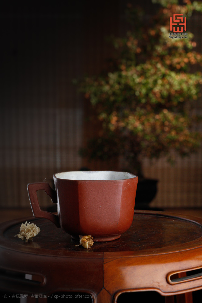 庚子年|沧海遗珍 五月廿五庚子年【鼠年】癸未月 己未日 之一