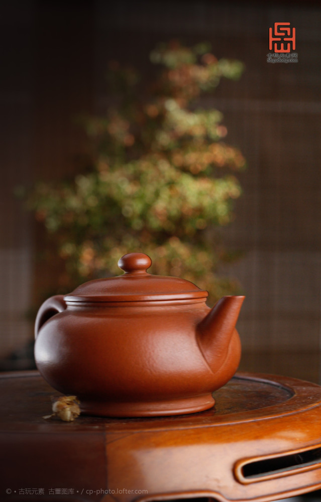 庚子年|沧海遗珍 五月廿五庚子年【鼠年】癸未月 己未日 之一