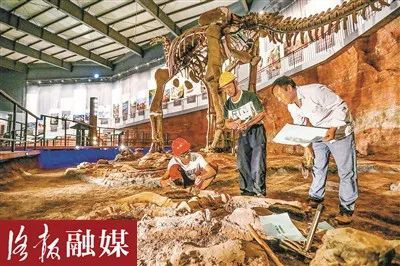 洛阳市旅游年票新增3个景区！