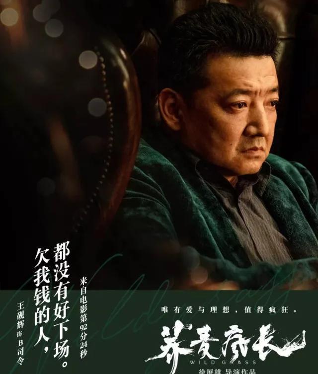 王砚辉一出手就是三部电影人到中年迎来新起点霸屏模式开启了
