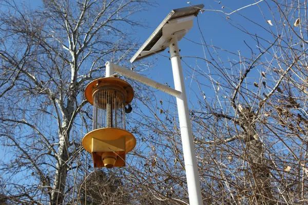 灭蚊灯|想用灭蚊灯灭蚊？那得有“五光十色”