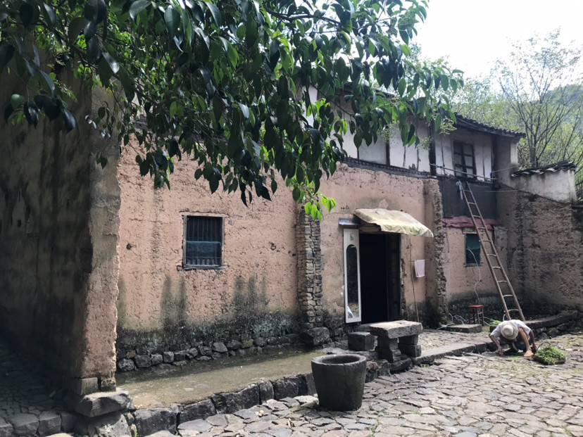 王羲之|王羲之坟墓很孤独，看了让人心酸，一起去看看