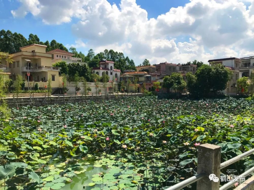 奋进新征程|桃源镇:倾力打造宜居宜商"高铁新城"!