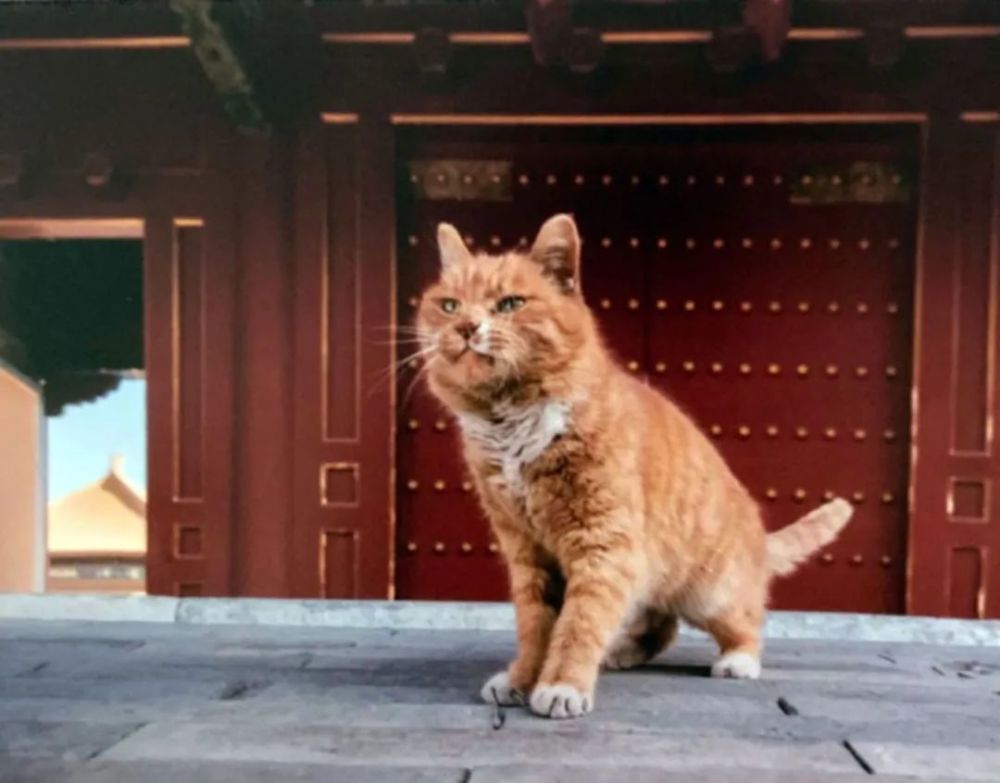 ward|传奇还将继续——怀念一代宗师Ward Plummer