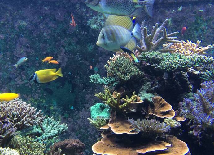 科考船|海洋科考又一利器，拥有世界最领先技术，我国“实验6号”将完工