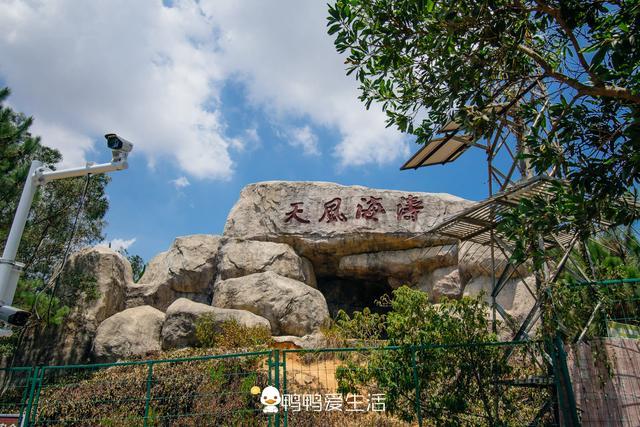厦门岛外免费公园理学家朱熹称真隐地有古刹巨鼎空气好