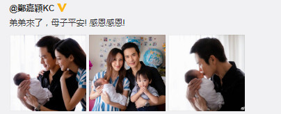 陈凯琳|陈凯琳生下二胎儿子，郑嘉颖“两年抱俩”，晒一家四口全家福