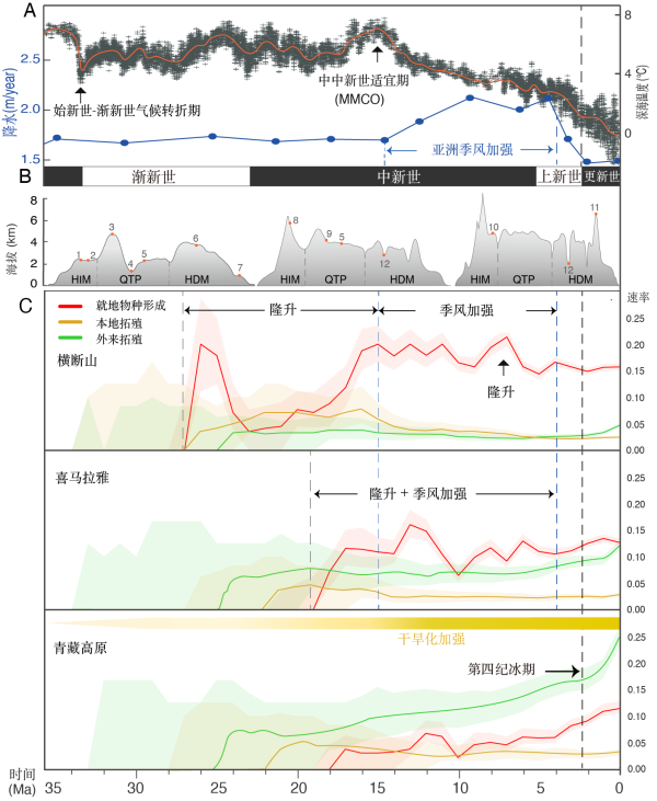 横断山区|版纳植物园研究发现横断山是高寒植物的起源地和避难所