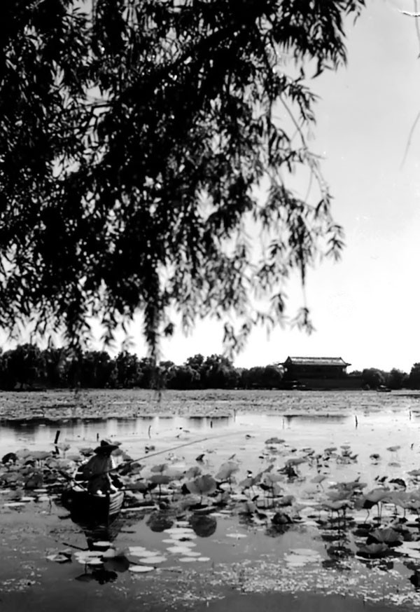 什刹海|老北京平民避暑的好去处 不花钱的什刹海 要啥有啥的荷花市场