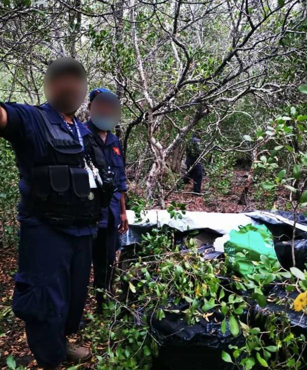 毒品|走私集团太贪心！用小型飞机足足运1000斤毒品，结果刚起飞就坠毁