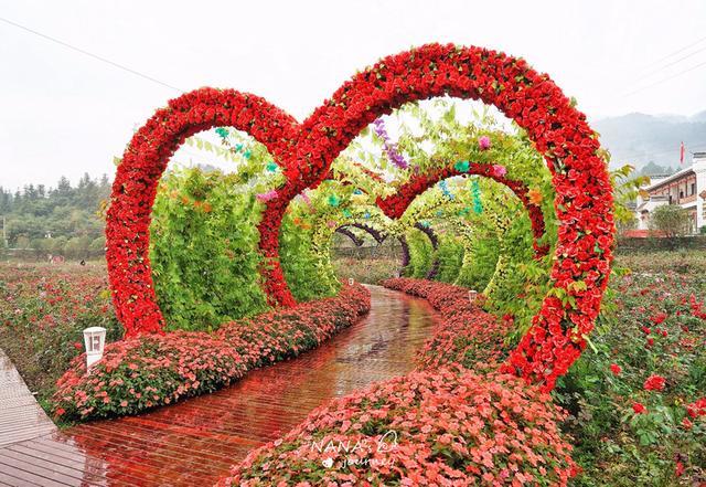 黄姚古镇旁的这个花海四季都有缤纷花开最适合拍照打卡