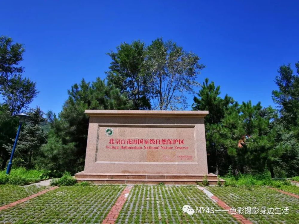 百花山|北京百花山国家级自然保护区，讲好首都生态好故事