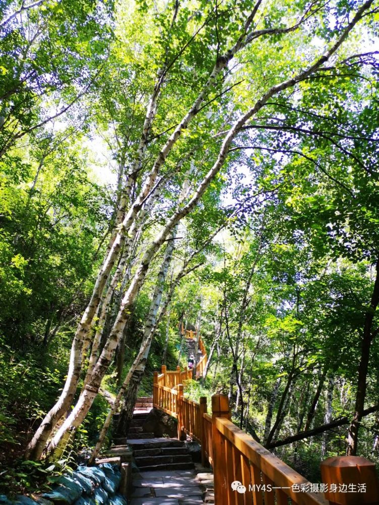 百花山|北京百花山国家级自然保护区，讲好首都生态好故事