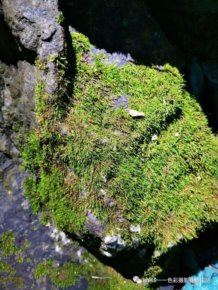 百花山|北京百花山国家级自然保护区，讲好首都生态好故事