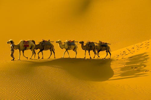 命班超为代理司马,同时另率一支部队攻打伊吾国(今天新疆哈密附近),与