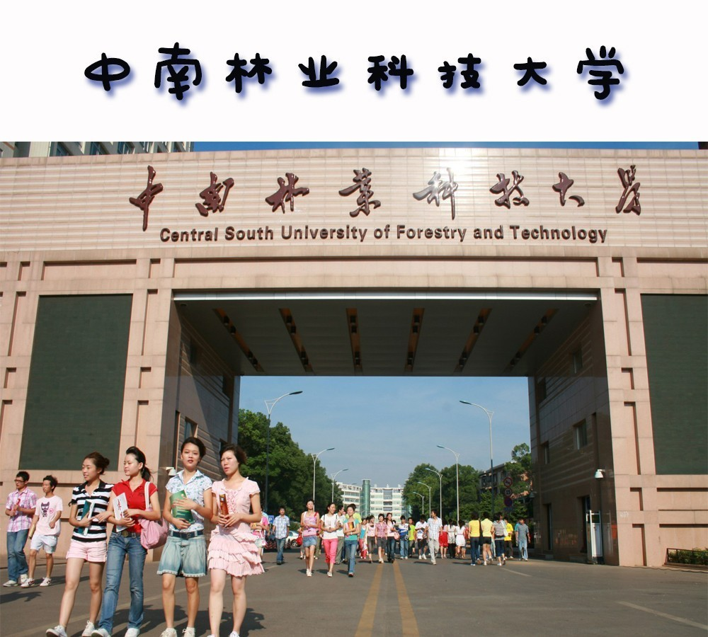 高考理科500分 在湖南能上什么大学 这3所一本院校实力强劲 腾讯新闻