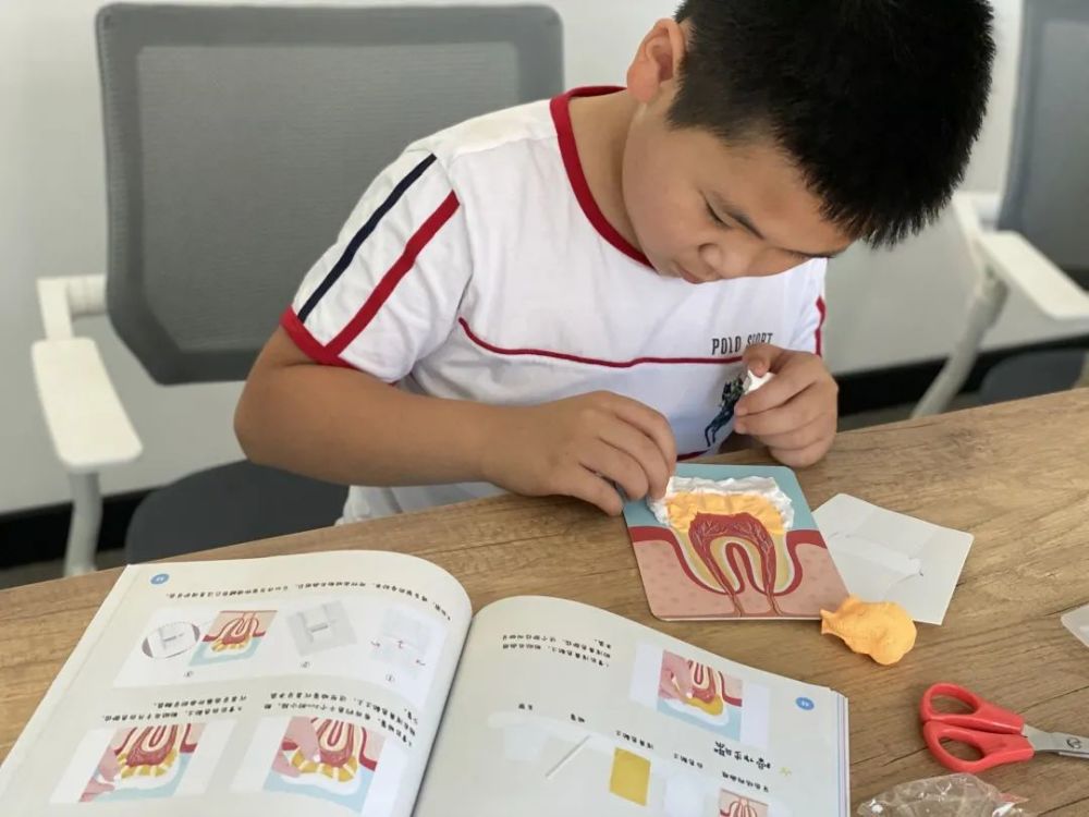 孩子|拍X光片、手术缝合、自制血液循环……娃竟然玩了俩小时没理我！