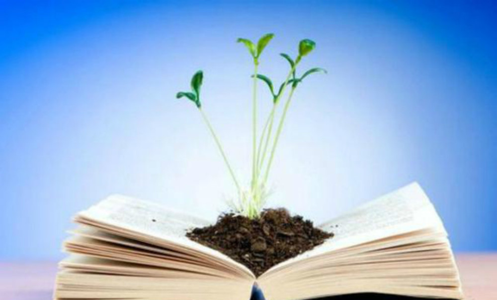 胡适|拥有30多个博士学位的胡适写趣诗，似小学生水准，为何被捧成经典