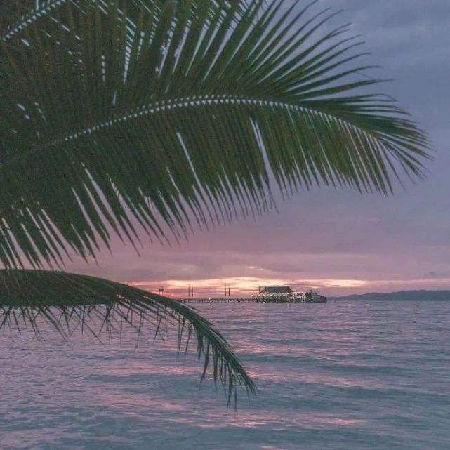 好看的ins风背景图