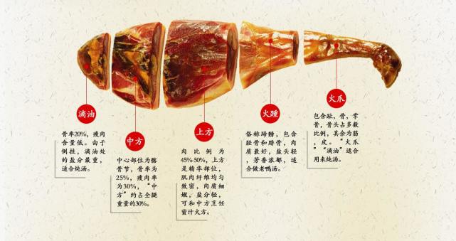 火腿的不同部位