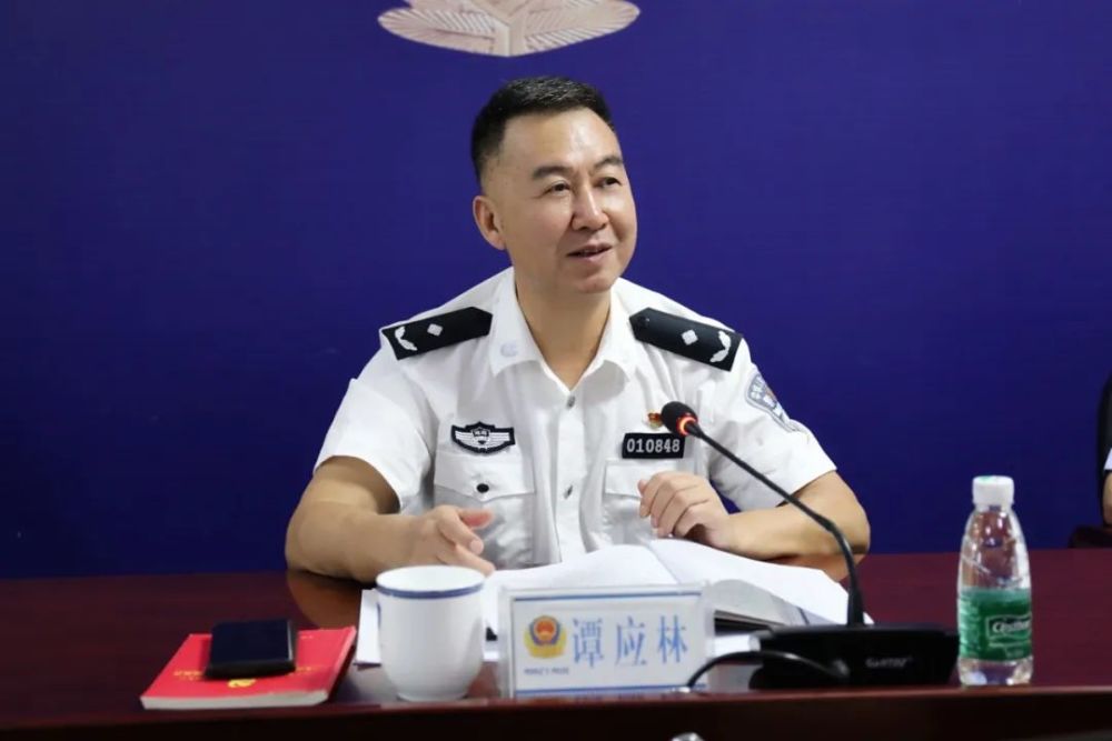 谭应林副区长强调