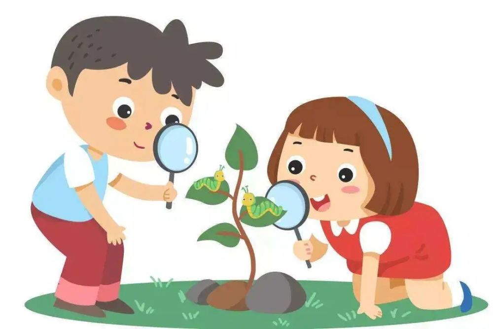 让孩子在家也可以提高观察力除了观察和探索大自然,在日常生活中,家长