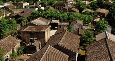 国家发展改革委|2020年8月3日【今日农情食事】纵观三农 洞察食情